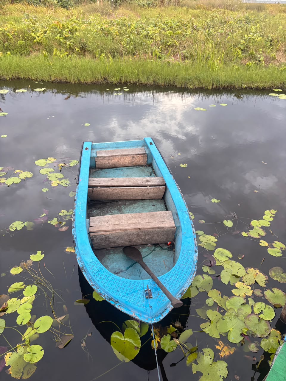 Wisata Transportasi Perahu Rawa Biru